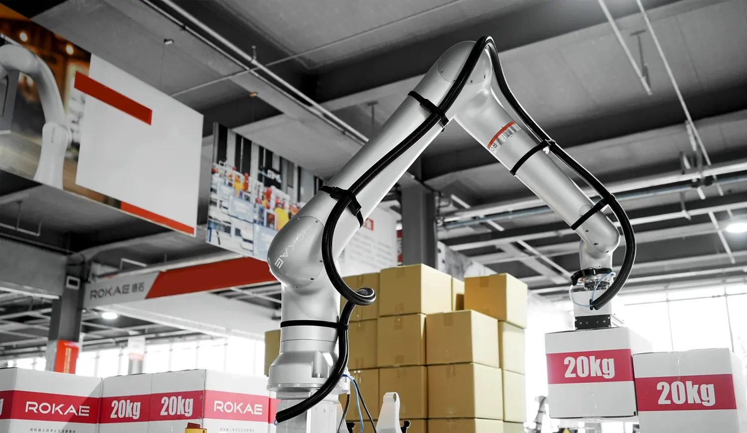 img_induction_palletizing